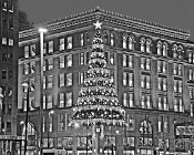 HXTBW  Horne's Christmas Tree Black and White