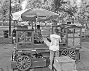 NS002BW  Gus and Yia Yia's Norh Side Black and White