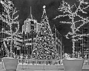 PPGXTBW  PPG Christmas Tree and Ice Rink Black and White