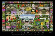 Phipps Conservatory  Phipps Conservatory & Botanical Gardens Collage