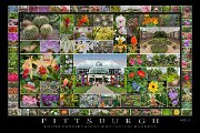 PhippsCollage  Phipps Conservatory and Botanical Gardens Collage
