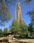 81015  Cathedral of Learning and Panther